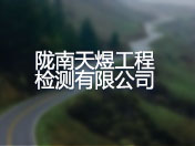 陇南天煜工程检测有限公司