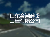 山东金潮建设工程有限公司