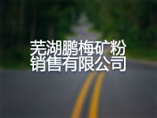 芜湖鹏梅矿粉销售有限公司