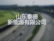 山东泰德新能源有限公司