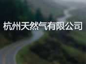 杭州天然气有限公司