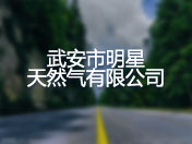 武安市明星天然气有限公司