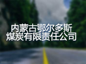 内蒙古鄂尔多斯煤炭有限责任公司