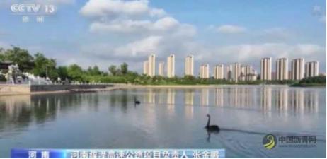 河南阳新高速公路黄河特大桥主桥成功合龙